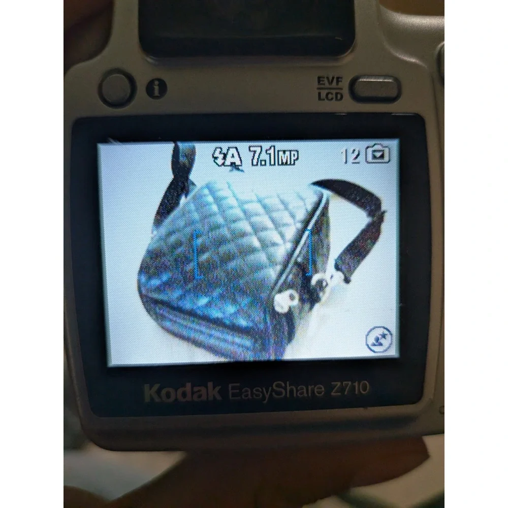 Silver Kodak Digital Camera Z710-10x Zoom Tested Working With Carry Case